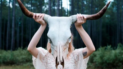 Creatures that charm individuals with their insights